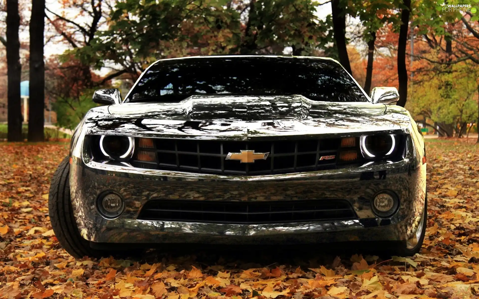 Chevrolet Camaro, Leaf