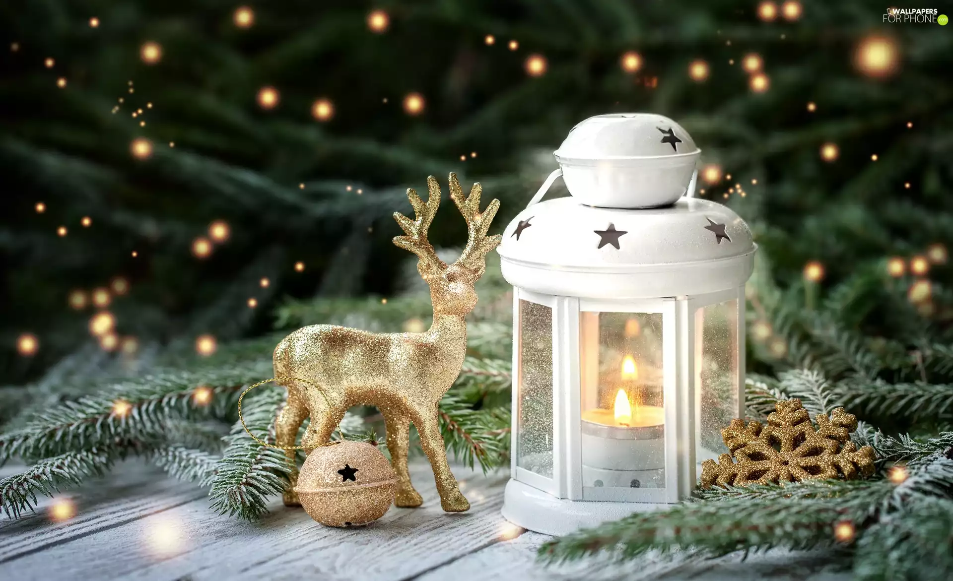 lantern, composition, decor, Christmas, spruce, fawn