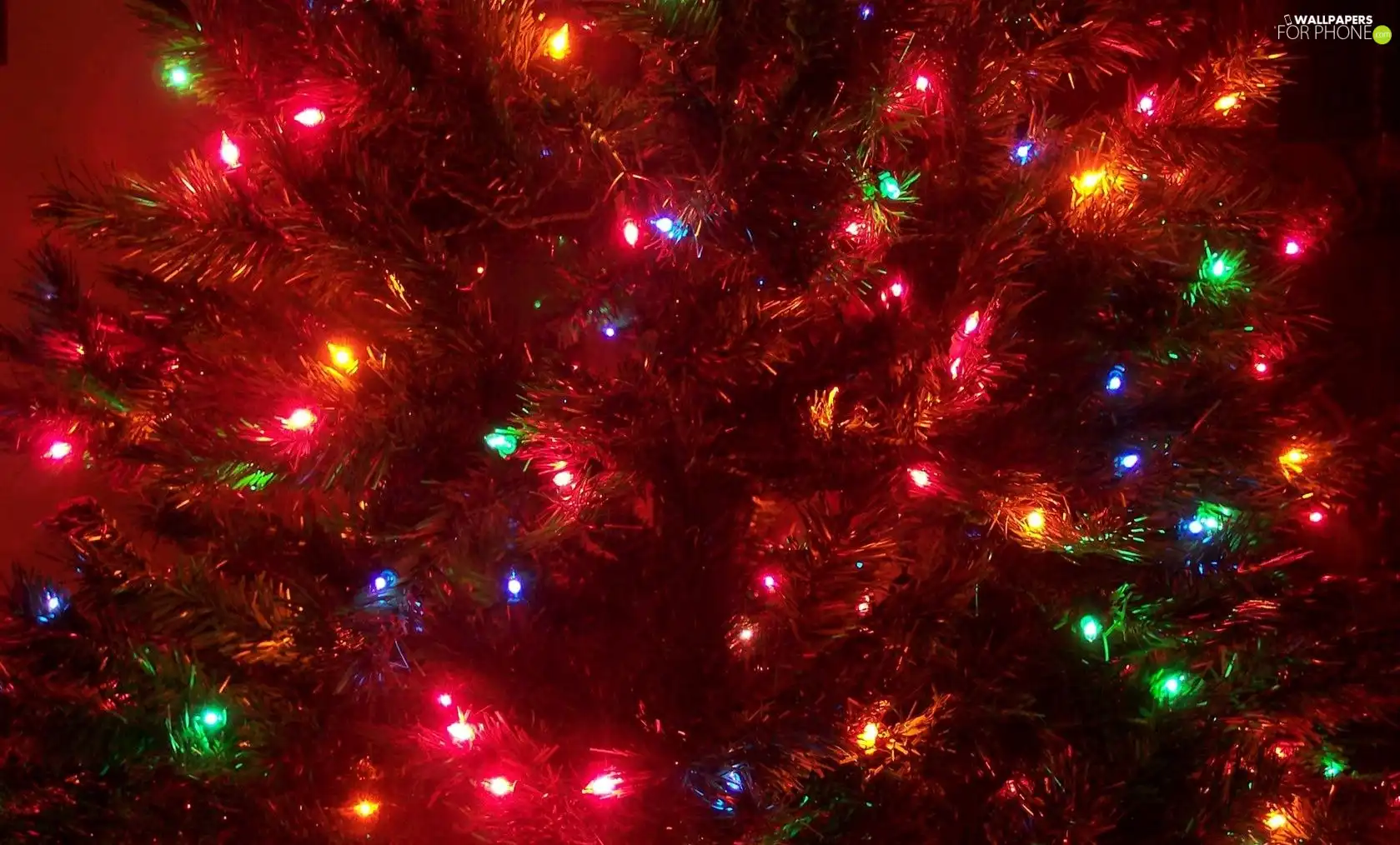 Christmas, color, Lights