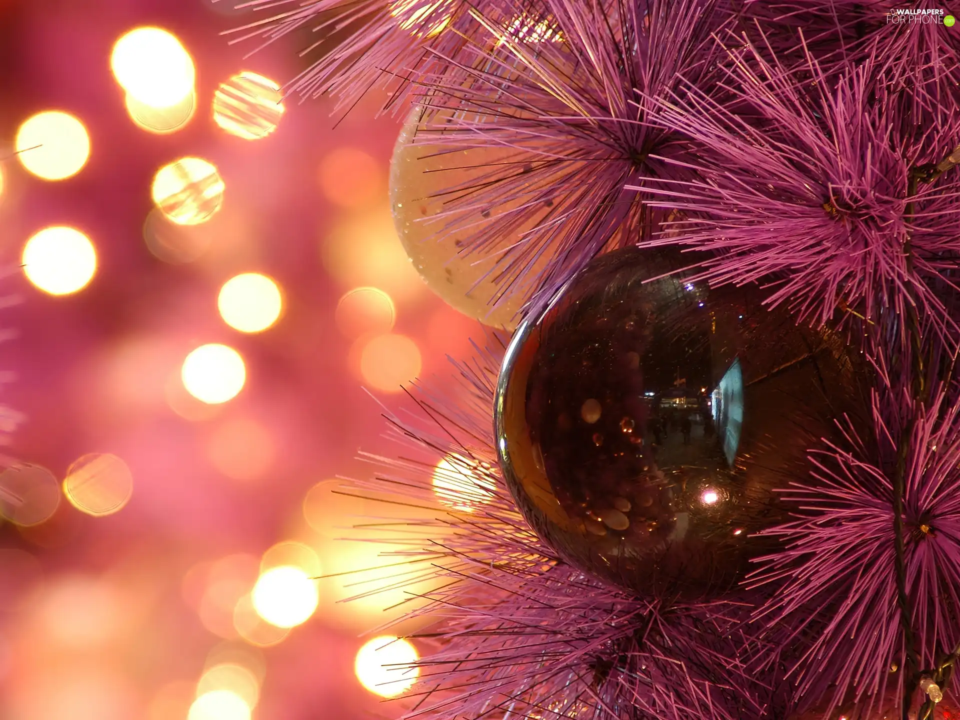 needle, Violet, christmas tree