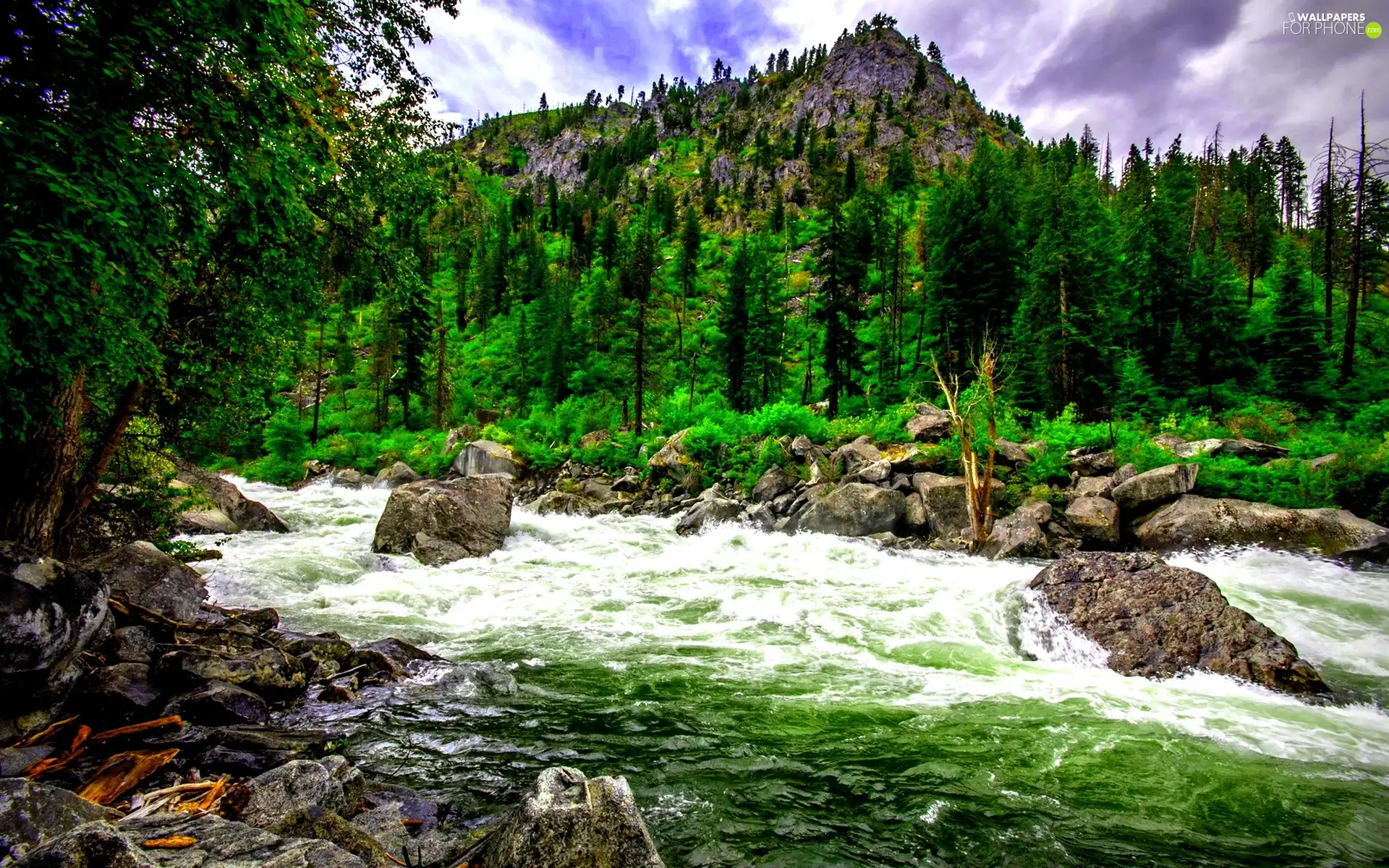 Christmas, Mountains, water