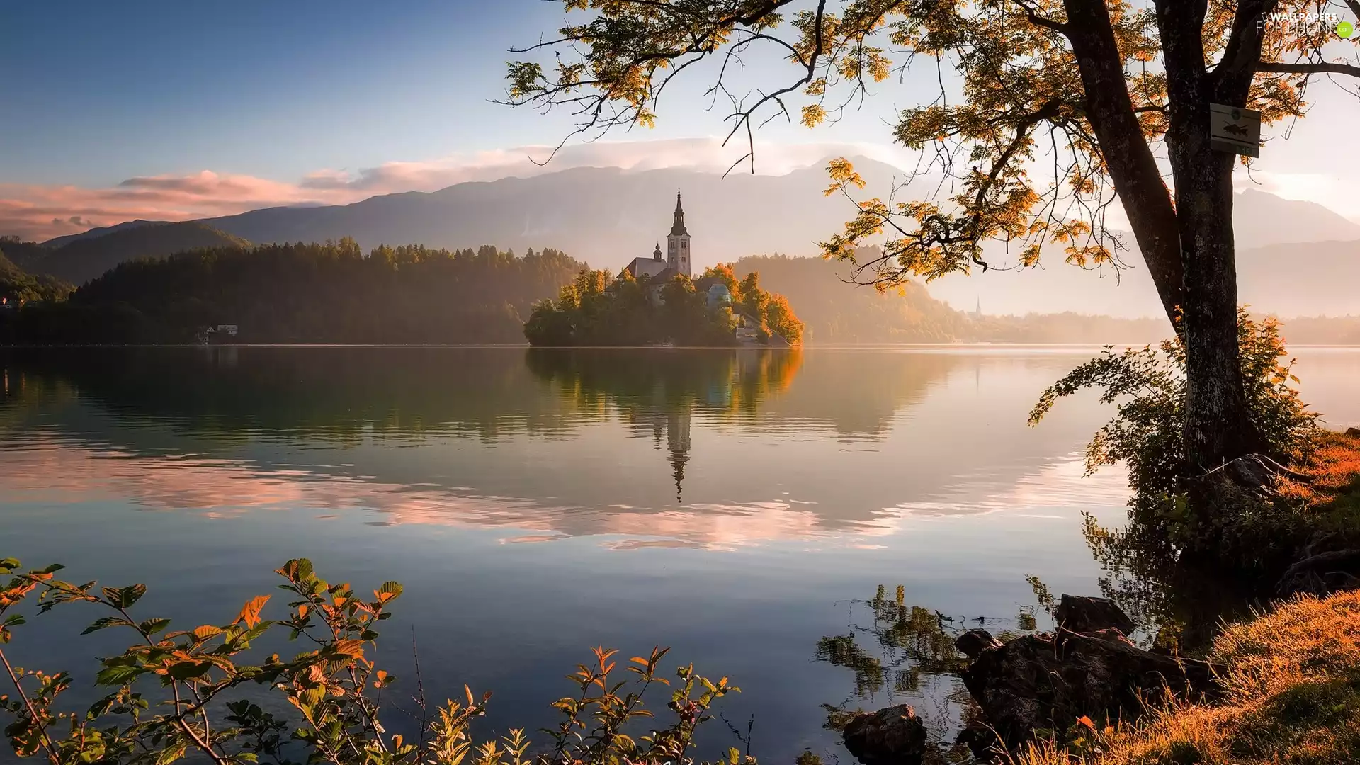 Church, Blejski Otok Island, Fog, Lake Bled, Slovenia, Mountains, trees