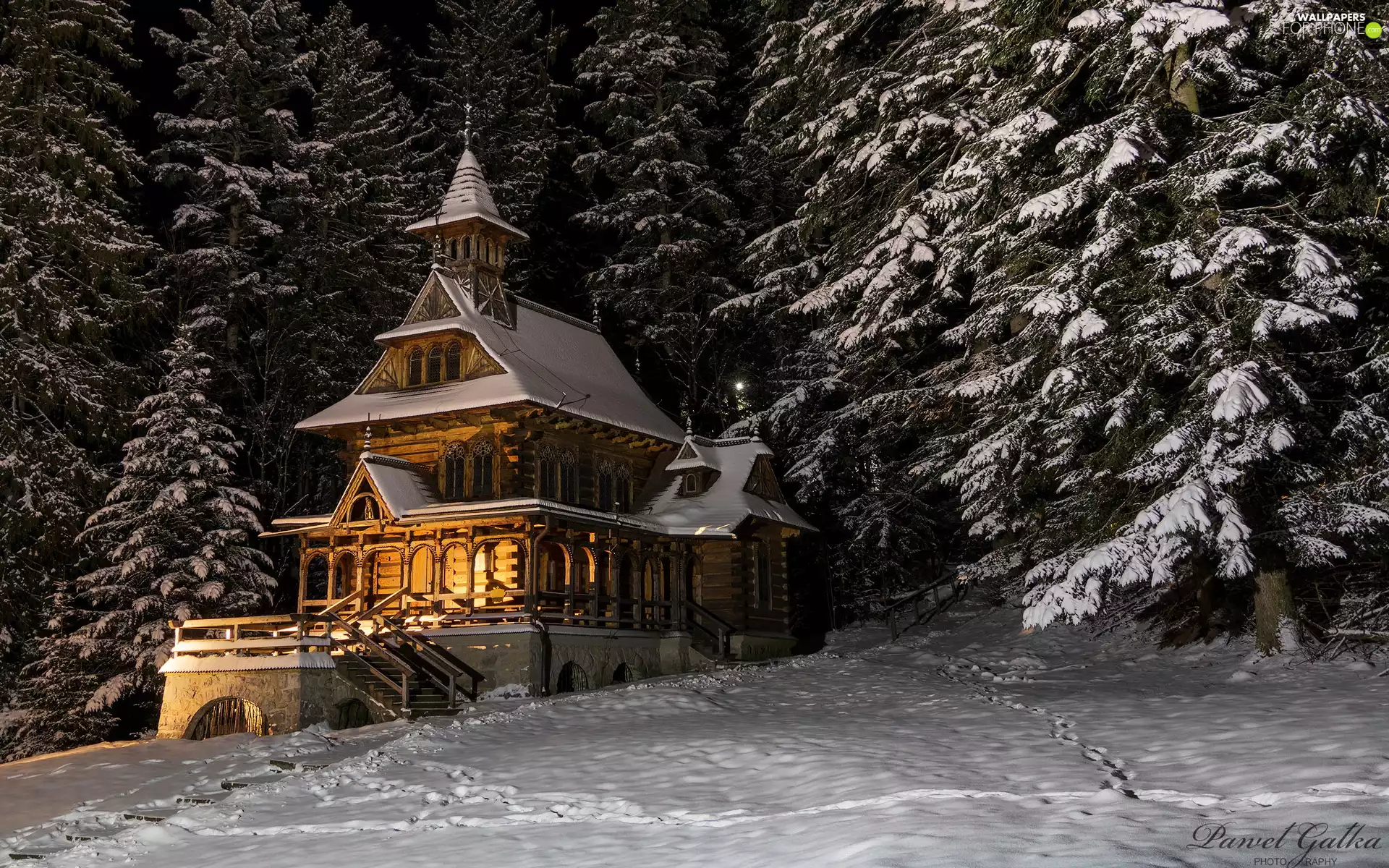 Spruces, winter, Chapel of the Sacred Heart of Jesus, illuminated, traces, Poland, Zakopane, Night, snow, Jaszczurowka, church