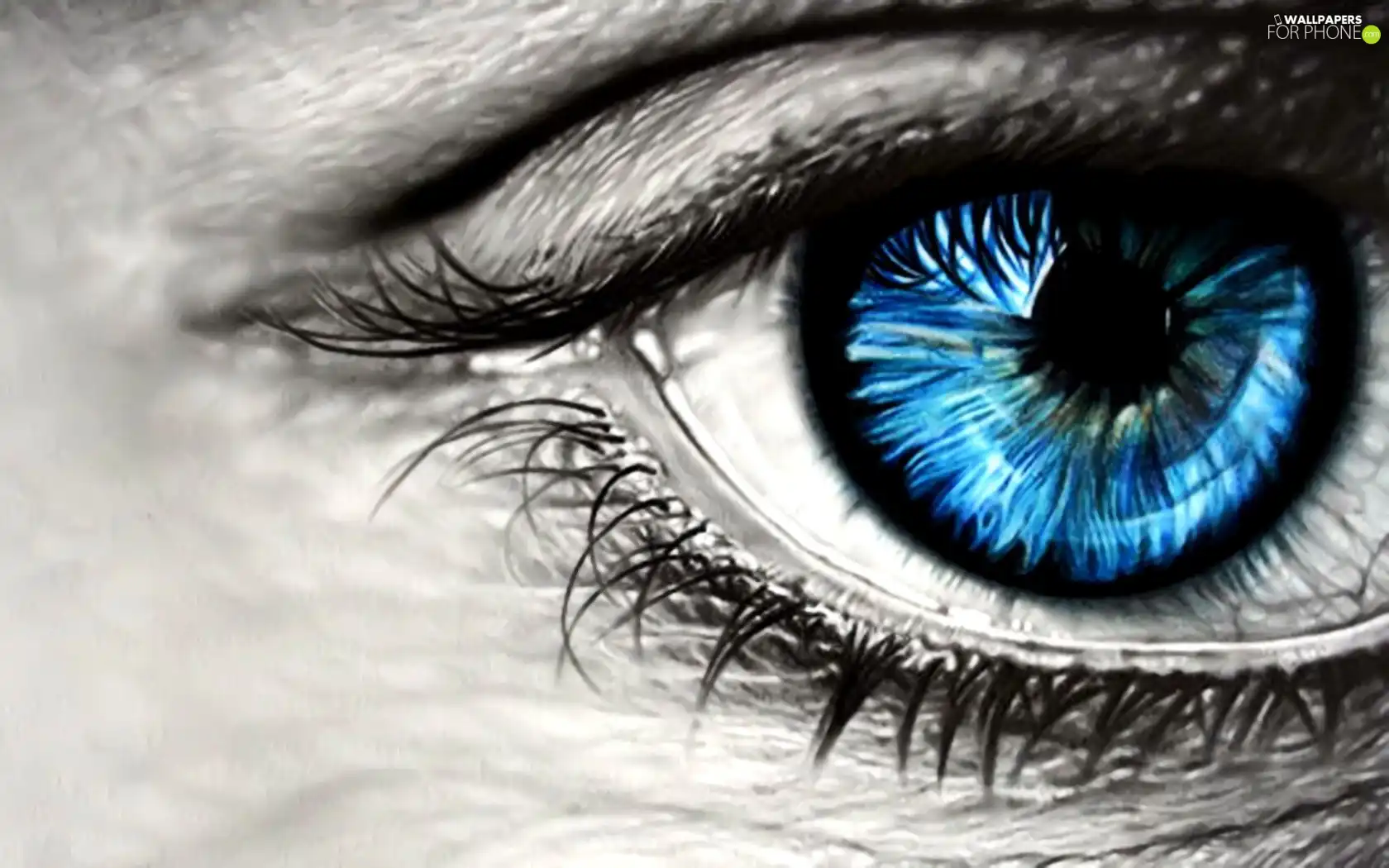 cilia, Blue, eye