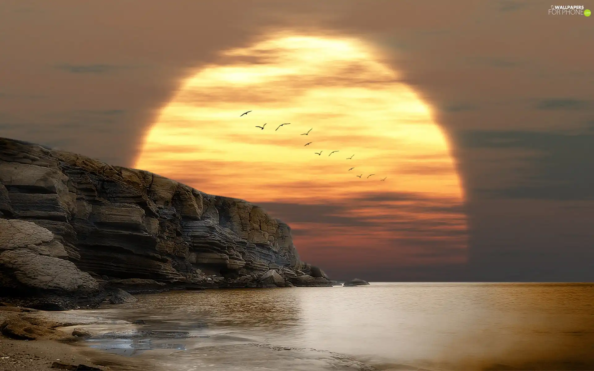 west, birds, cliff, sun