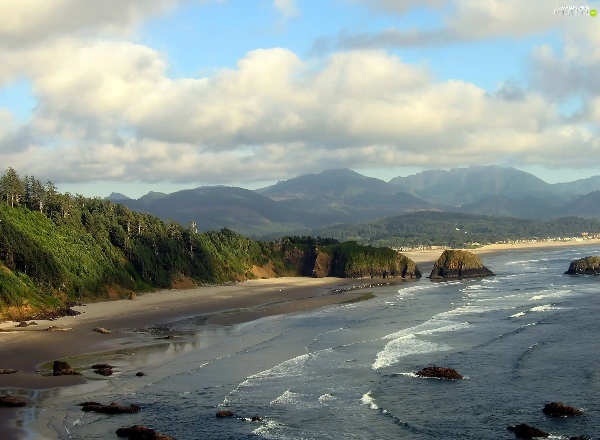 Cliffs, sea, Beaches, woods, Wild