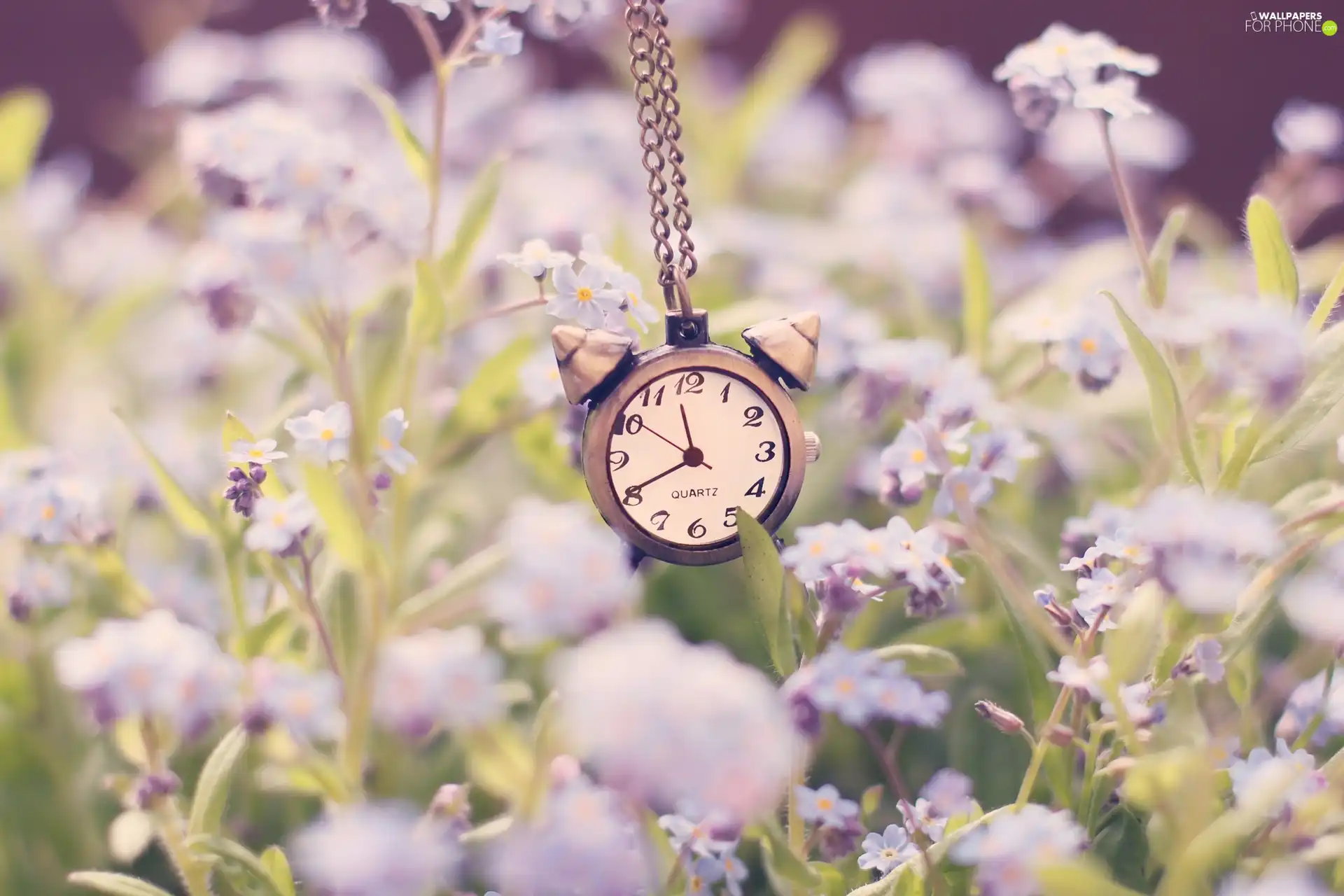 Clock, purple, Flowers