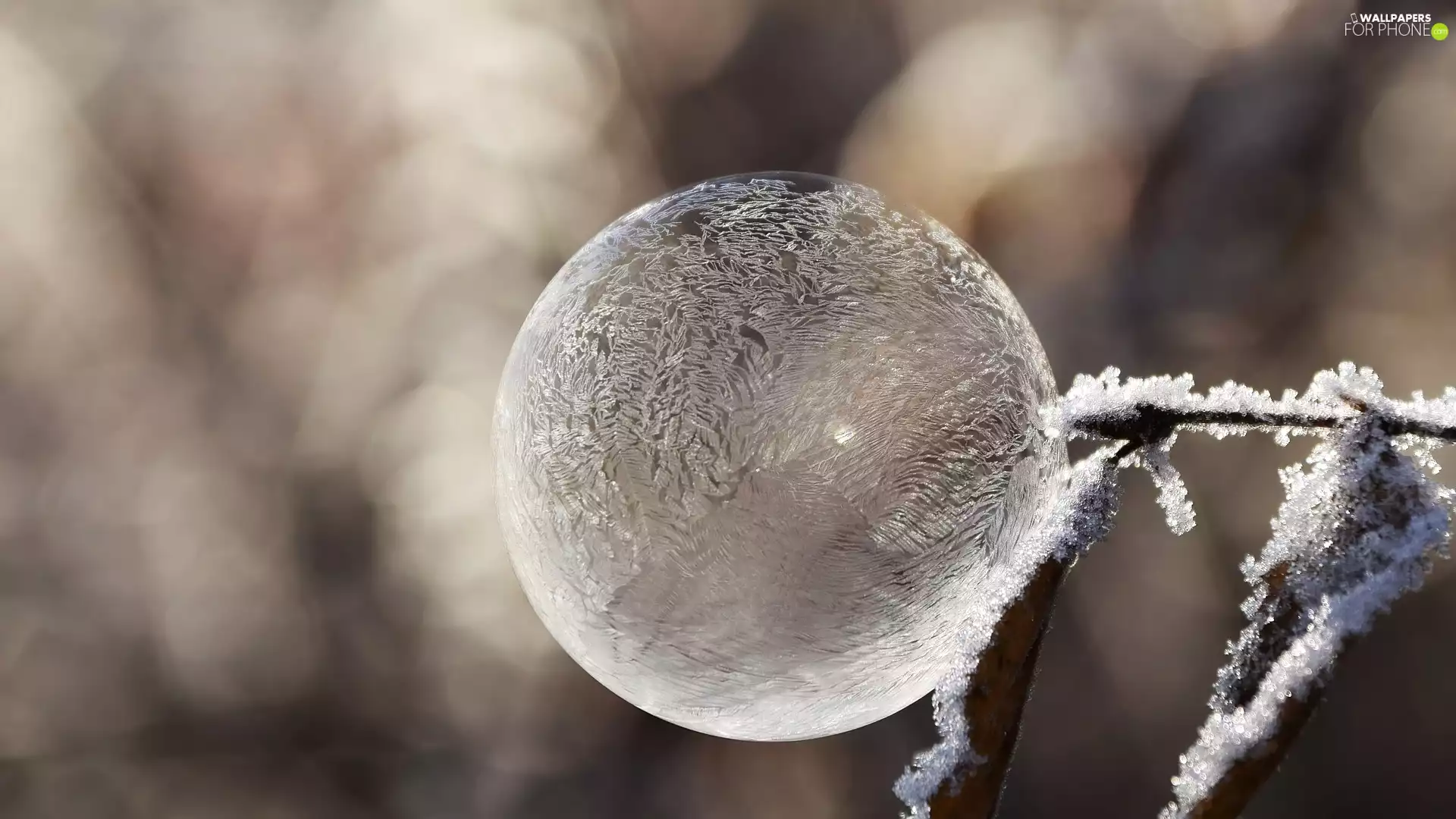 Close, Frozen, bubble