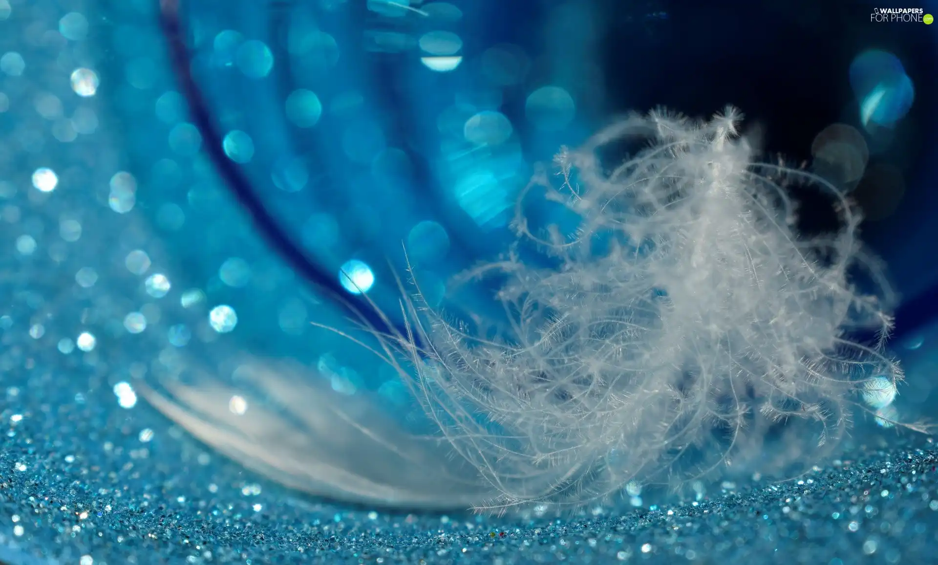 Blue, White, Bokeh, Close, background, feather