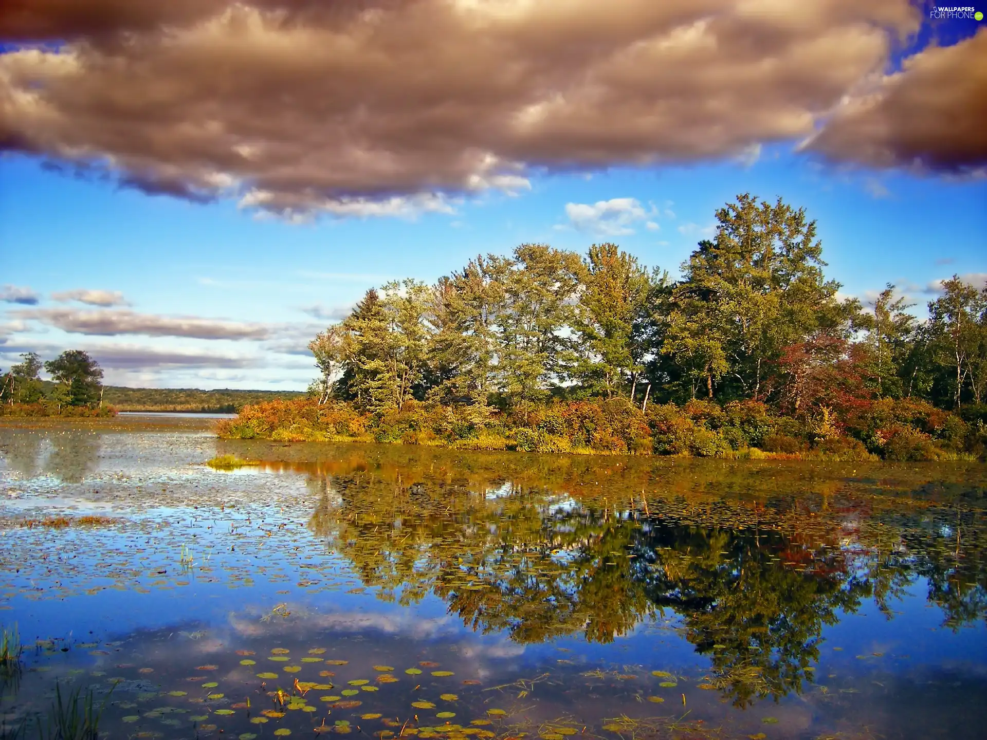 clouds, autumn, trees, viewes, lake