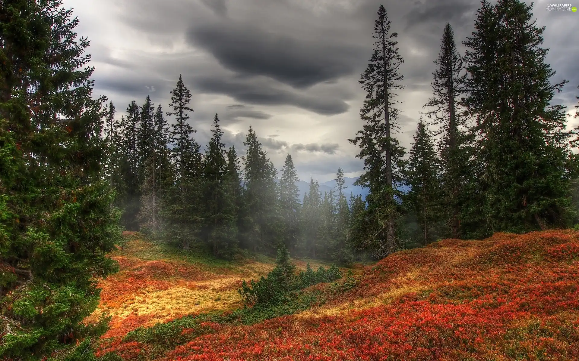 clouds, autumn, trees, viewes, Mountains