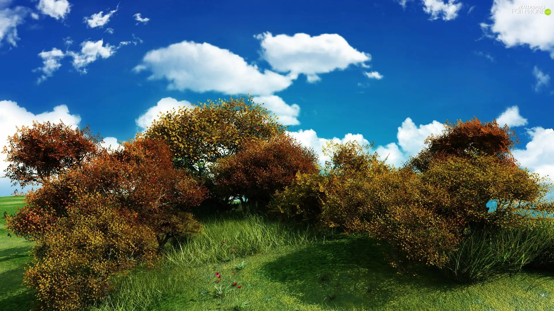 Bush, White, clouds, hill