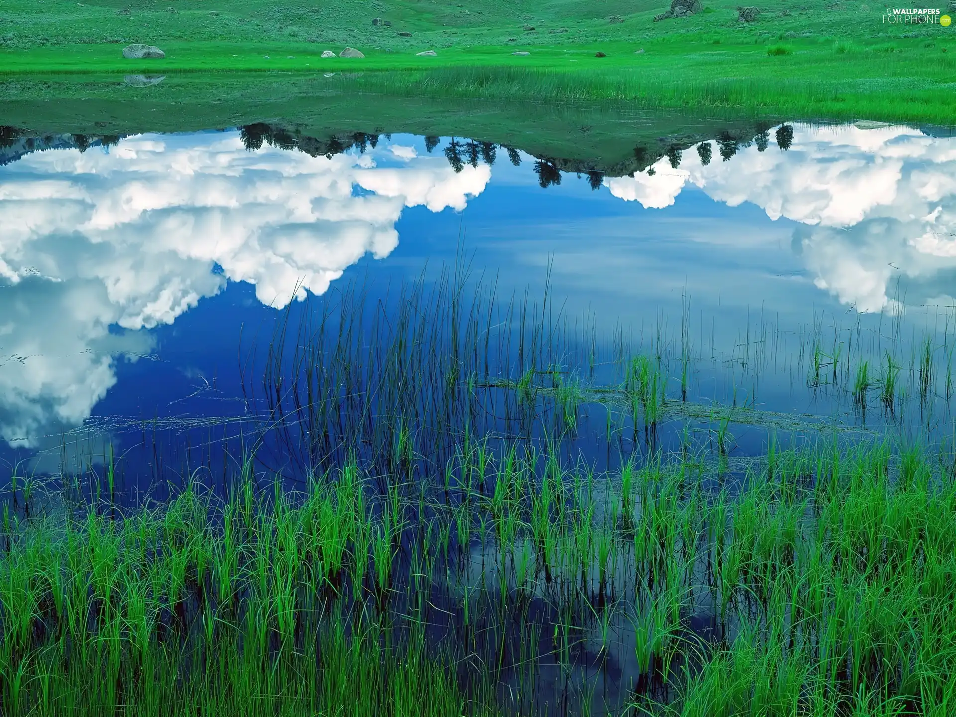 Pond - car, reflection, clouds