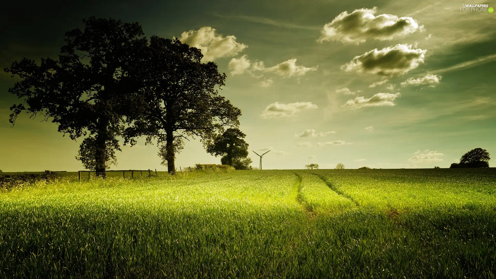 clouds, trees, cereals