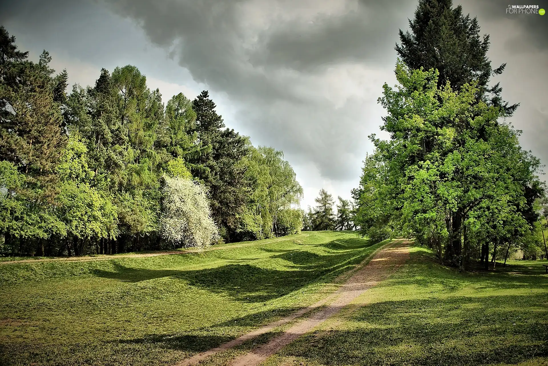 clouds, Park, dark