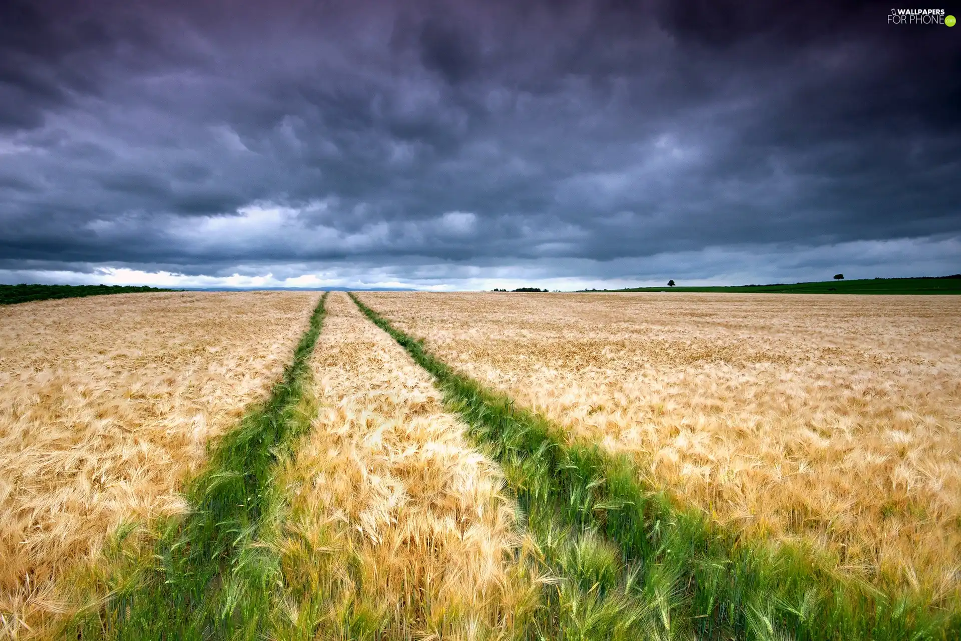 Field, clouds