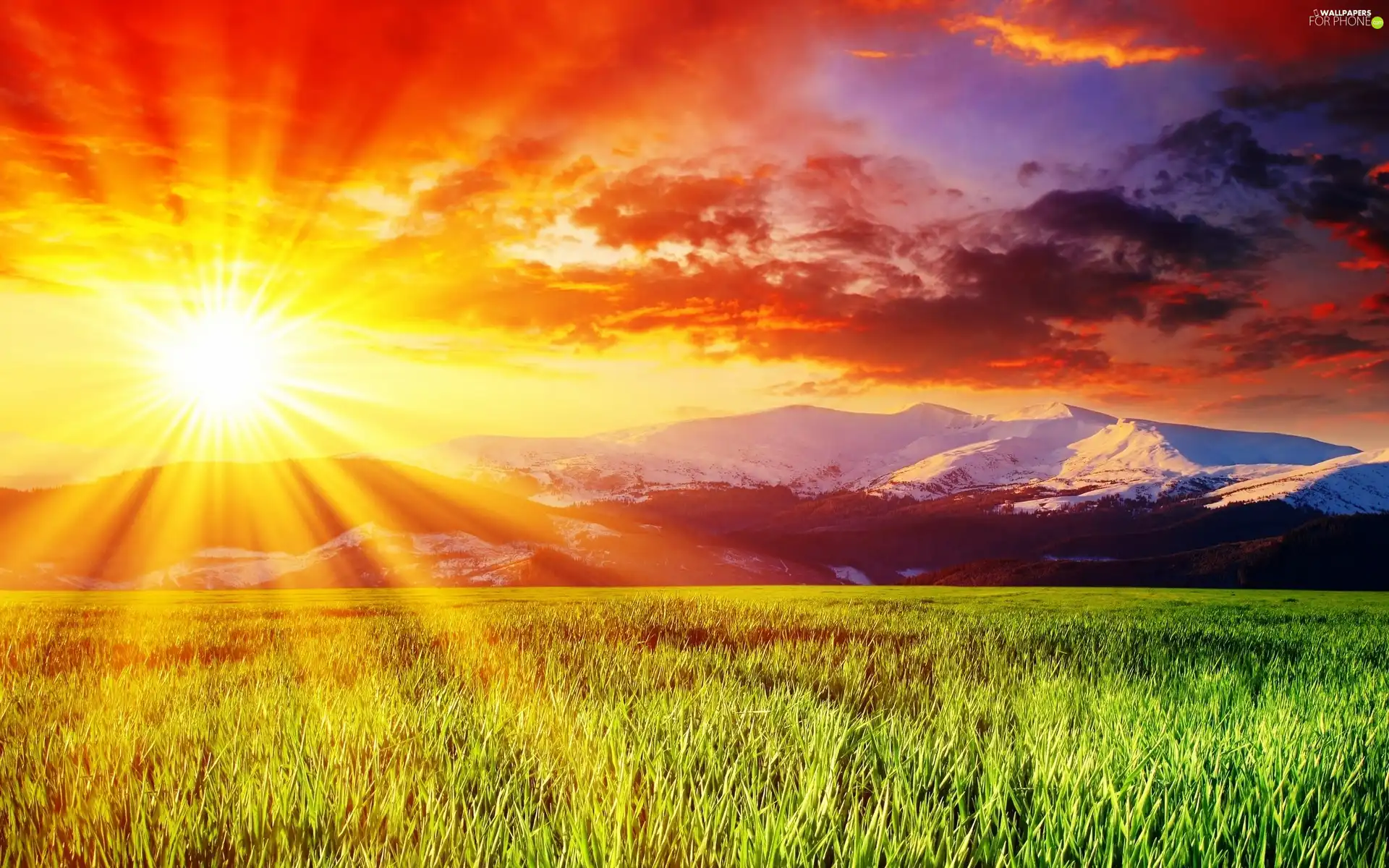 Field, Mountains, clouds, sun