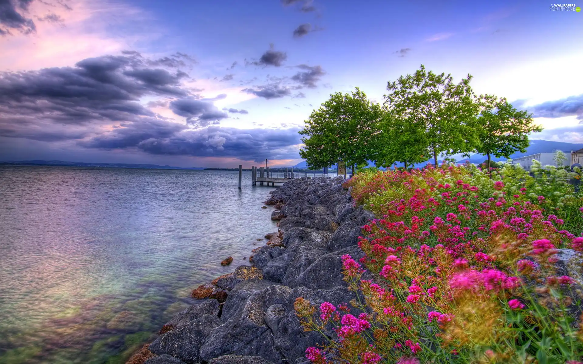 clouds, sea, Flowers