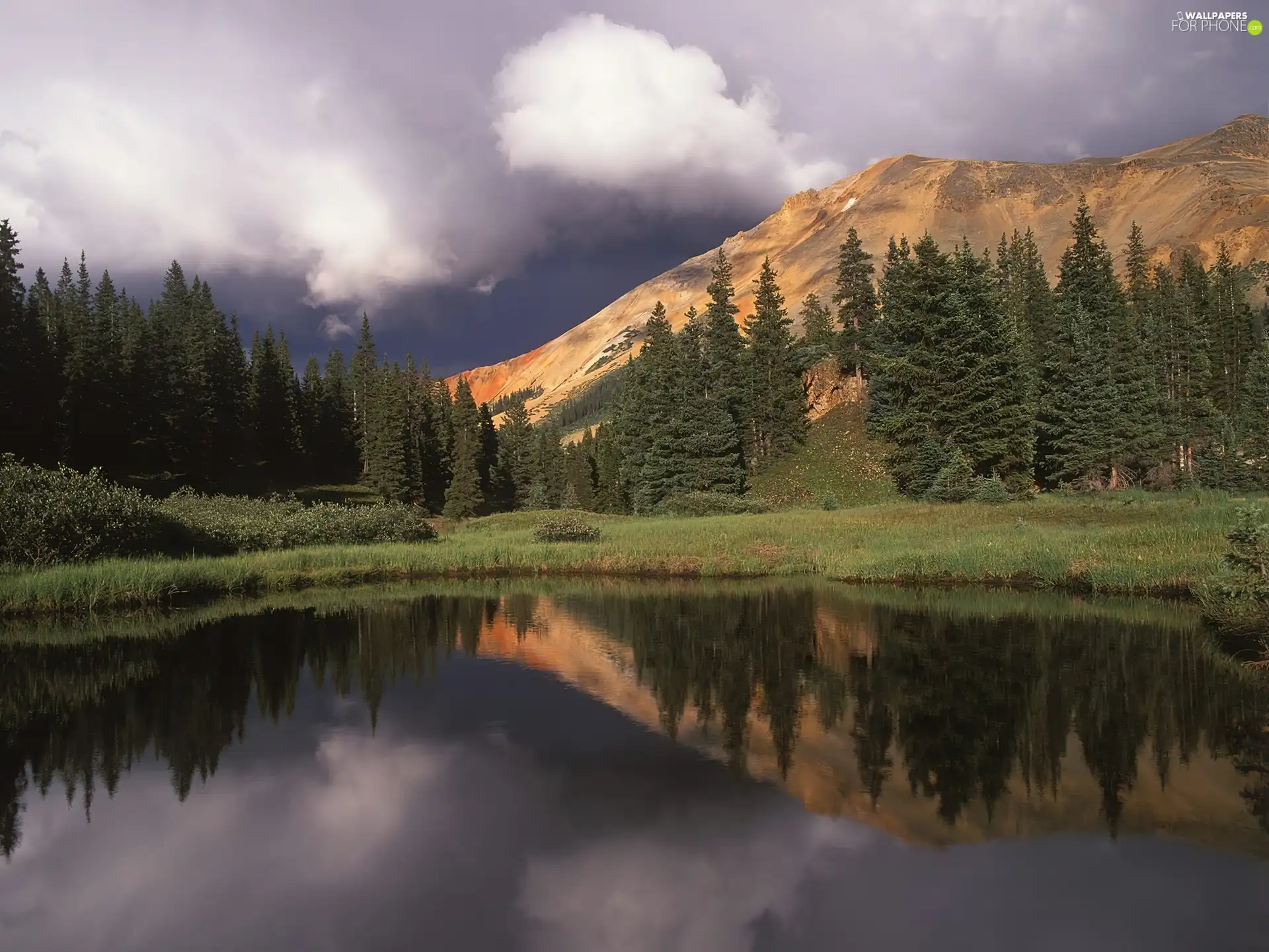 clouds, lake, forest