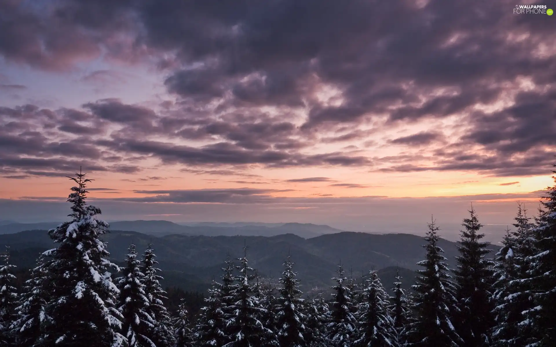 clouds, Mountains, forest