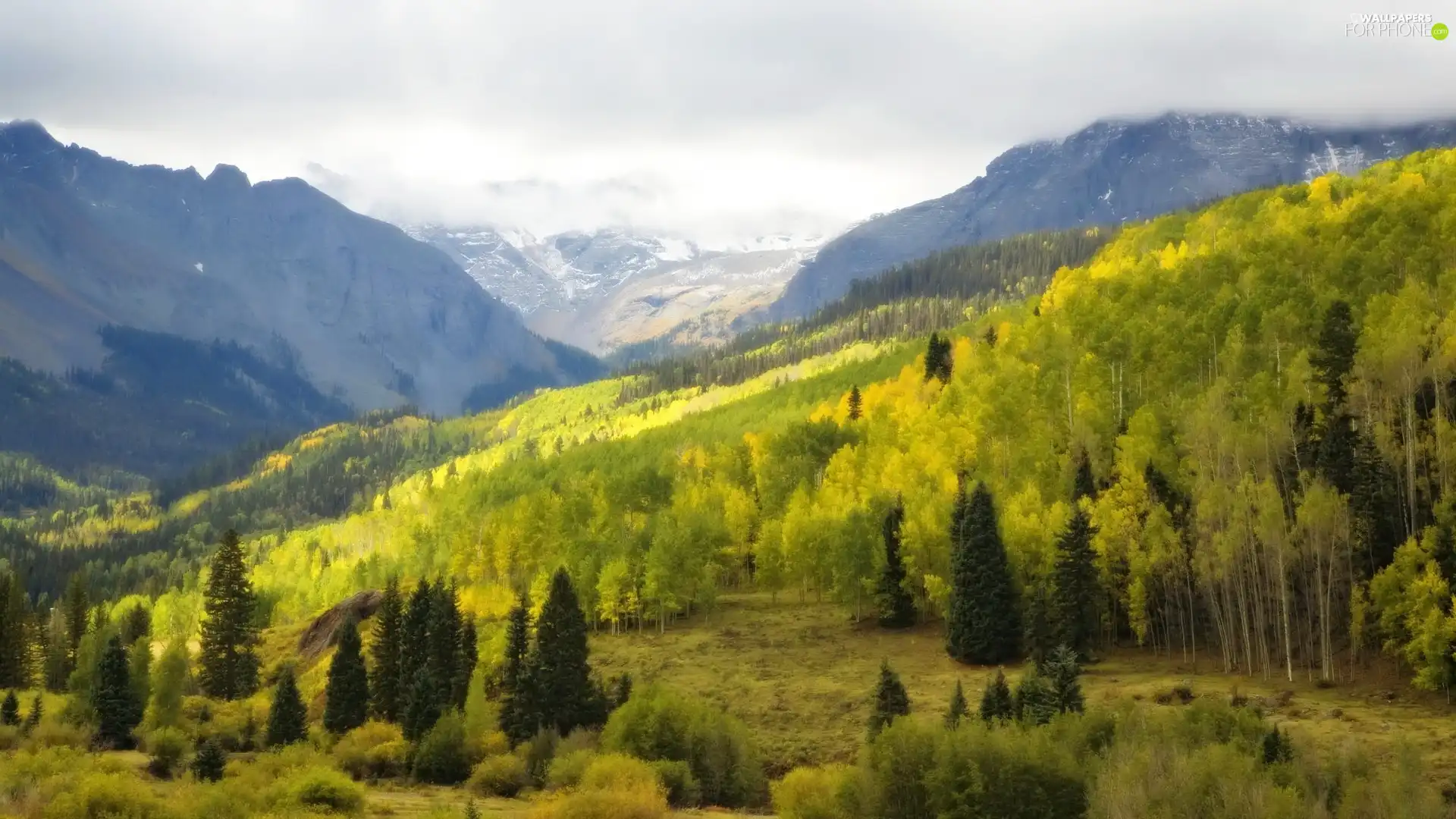 clouds, Mountains, forest