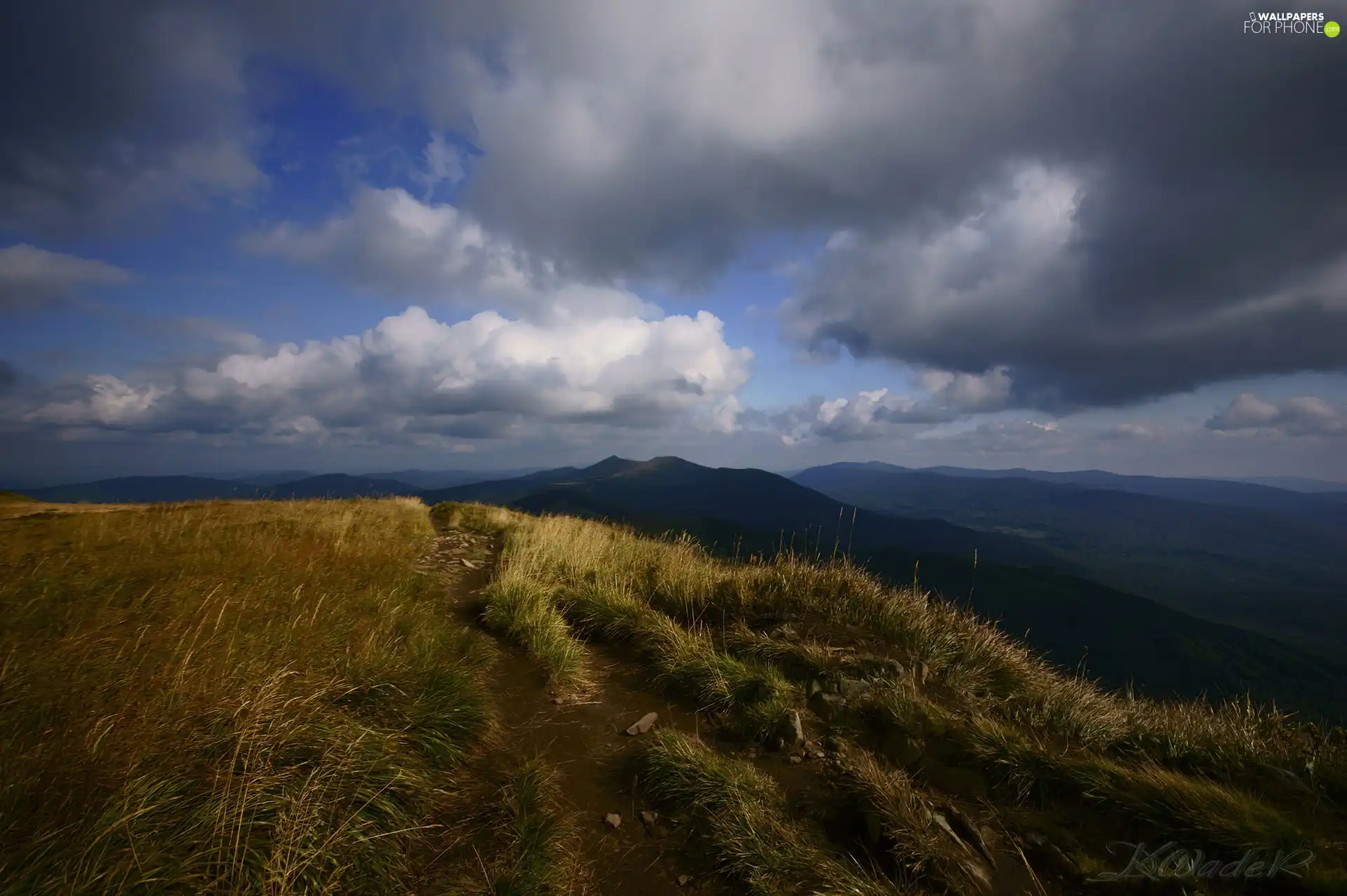 Formula, grass, clouds, Mountains