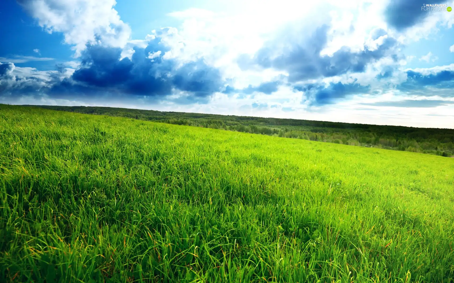 clouds, Meadow, grass