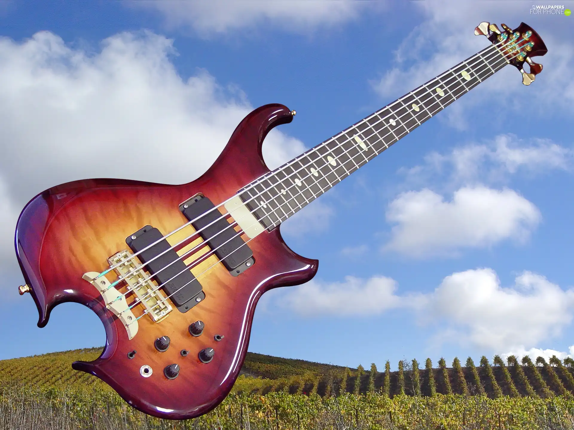 Guitar, Sky, clouds, Field