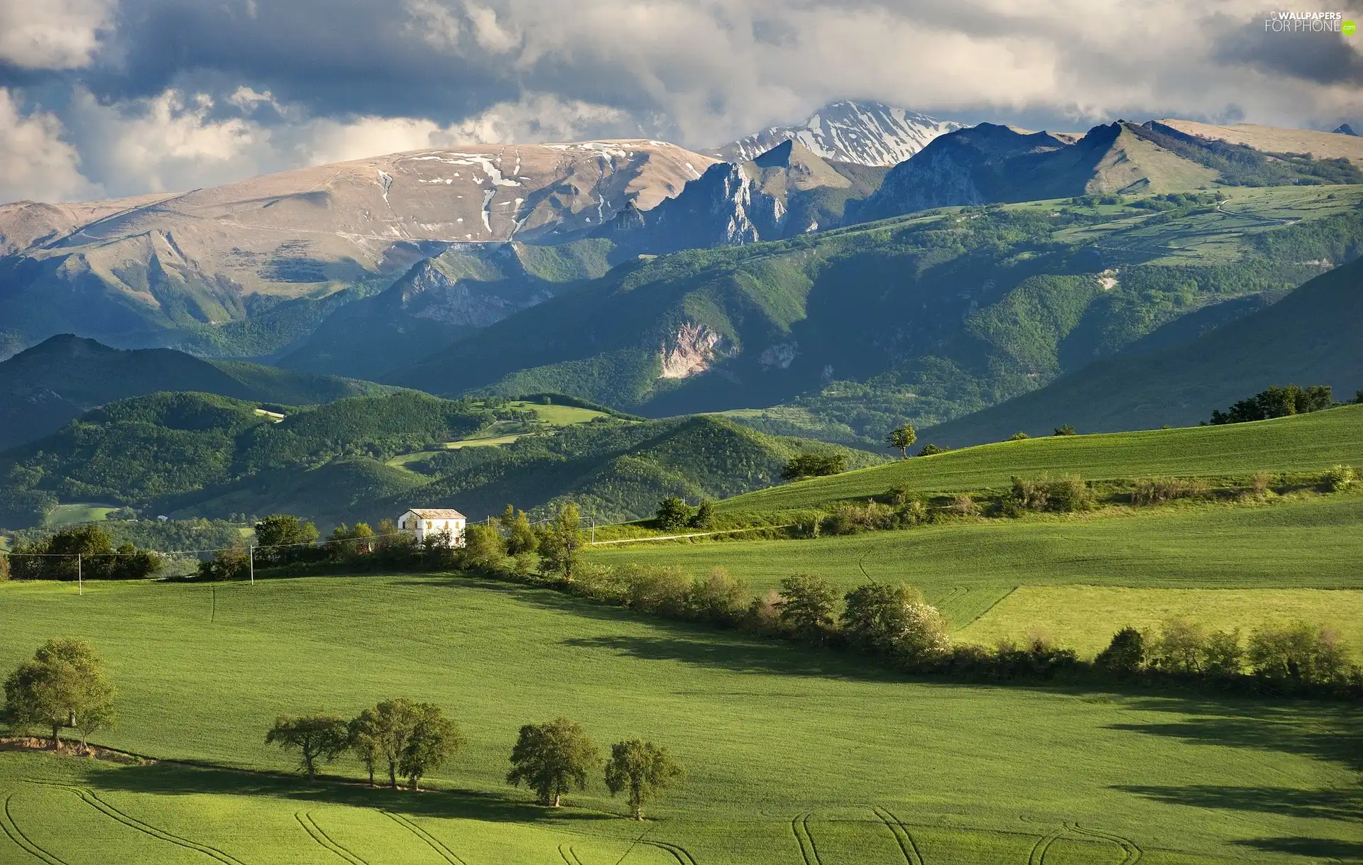 trees, field, clouds, house, viewes, Mountains