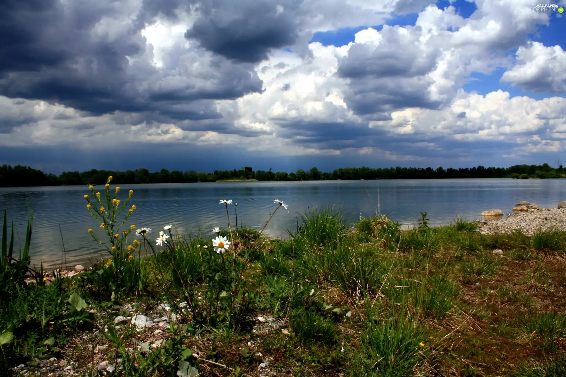 clouds, Meadow, lake