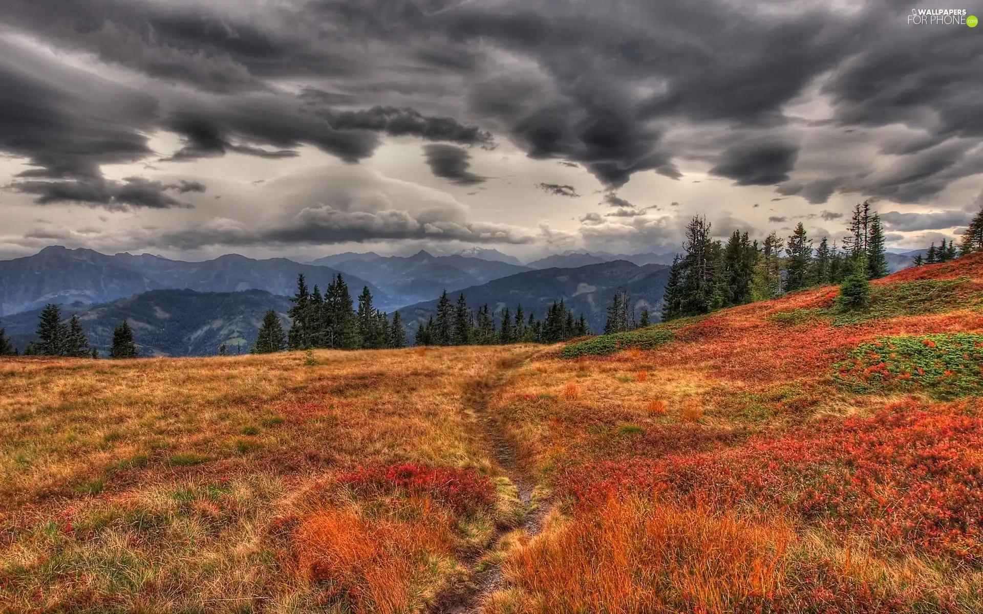 Meadow, Mountains, clouds, forest