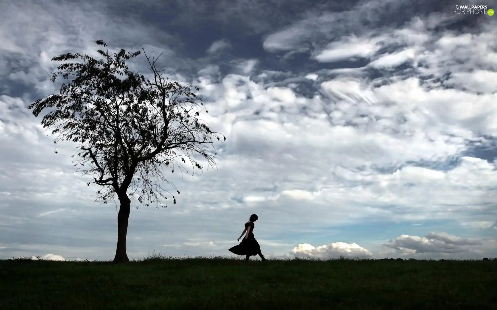 Meadow, trees, clouds, Women