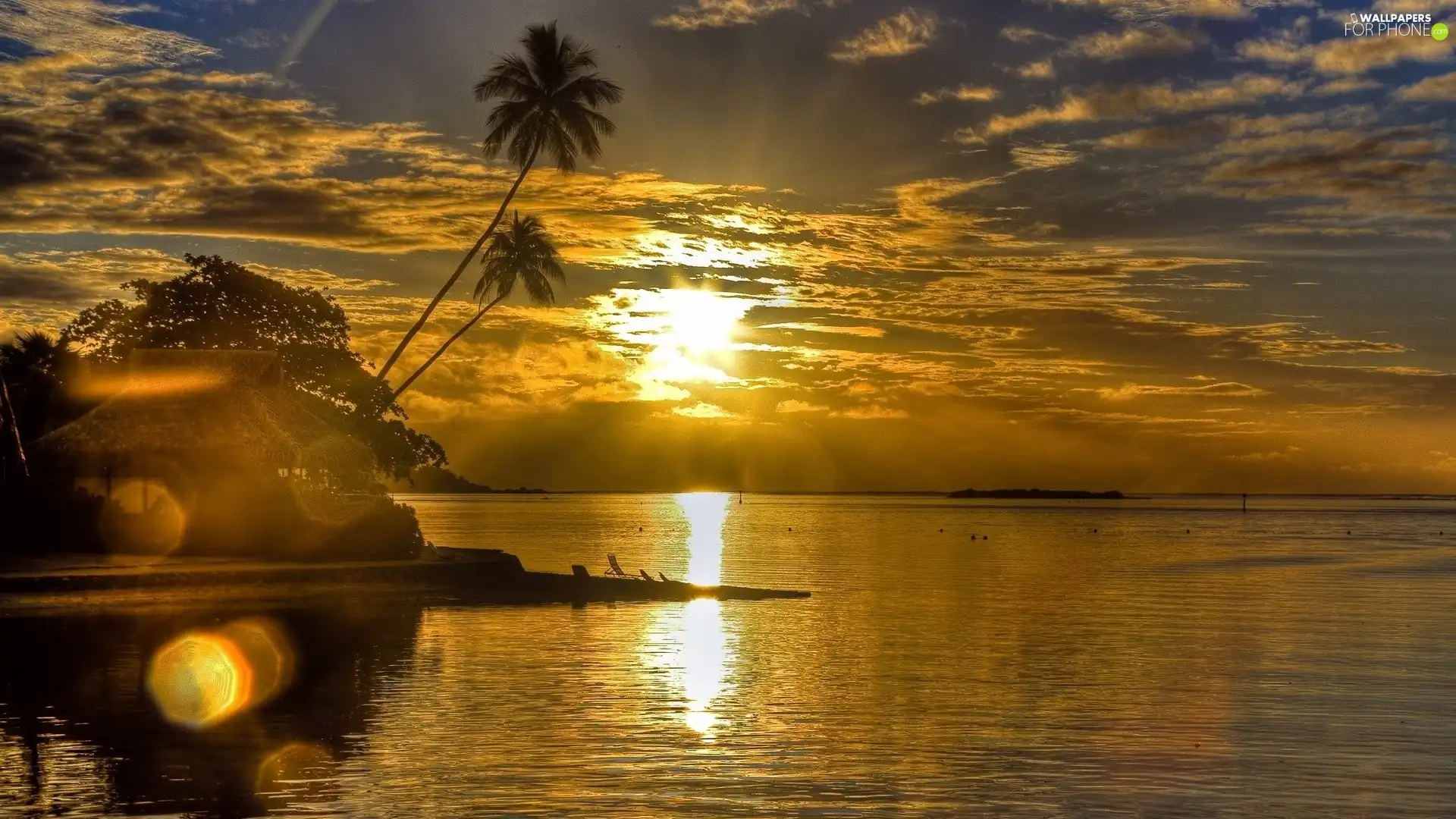 Palms, Waves, sun, Home, sea, clouds, rays