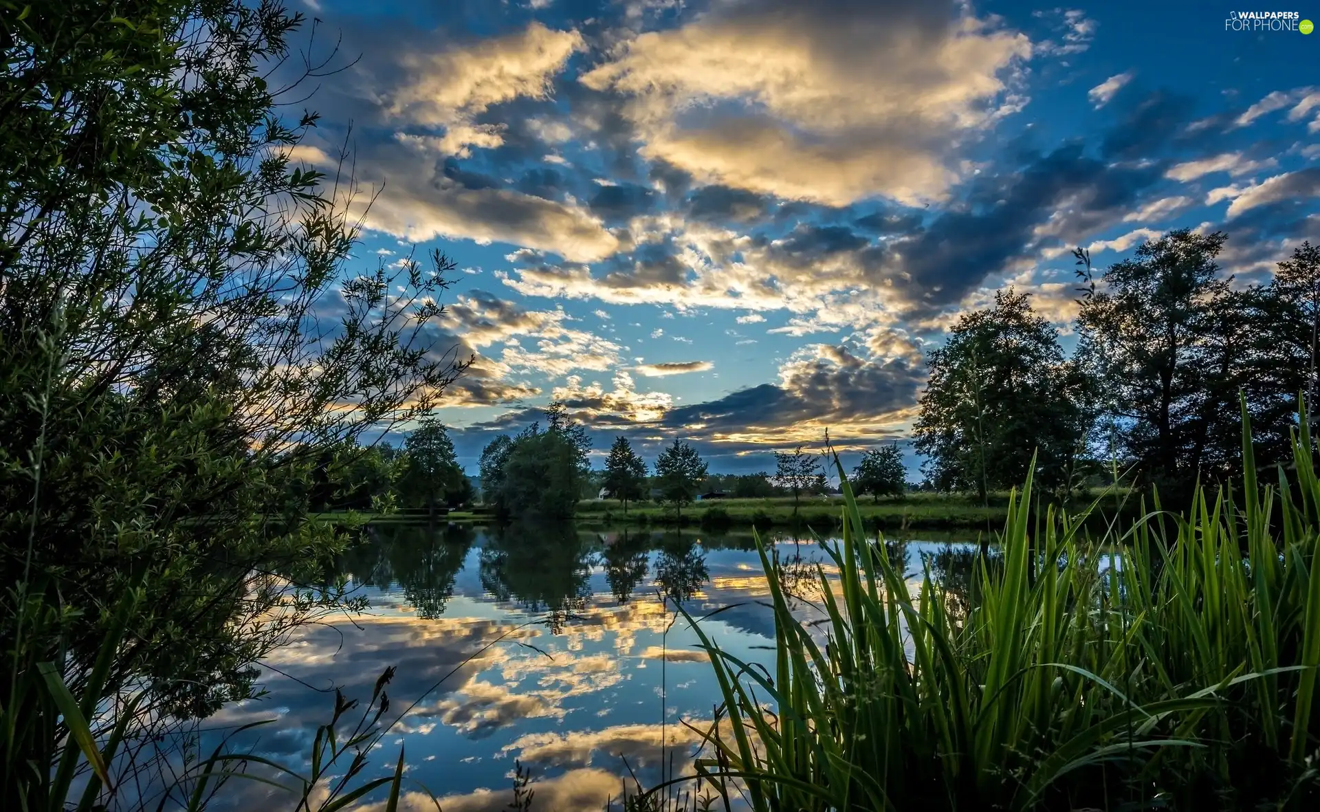 viewes, lake, clouds, reflection, grass, trees