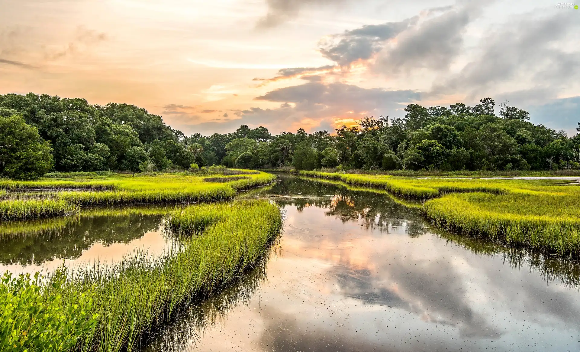 clouds, reflection, forest, bog, River