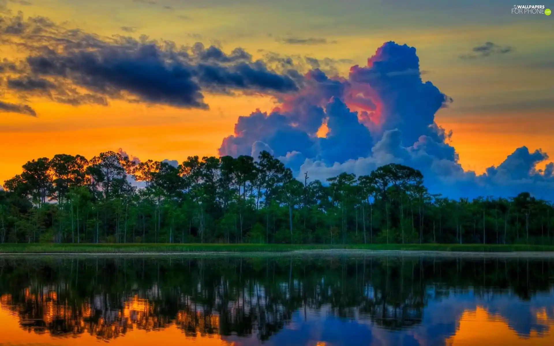 clouds, reflection, forest, dark, River