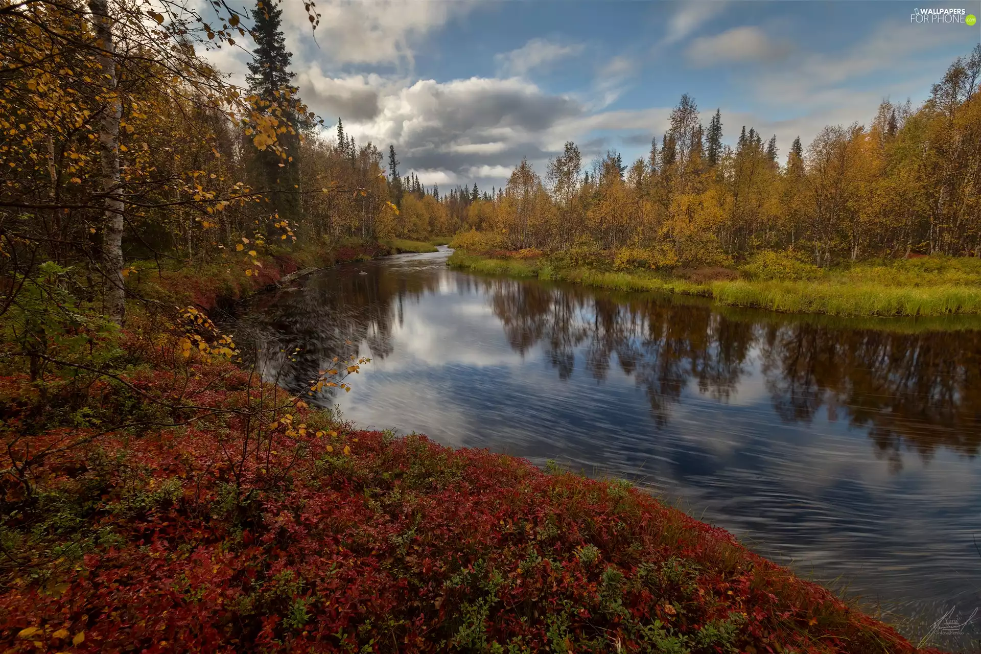 trees, autumn, Bush, clouds, viewes, River