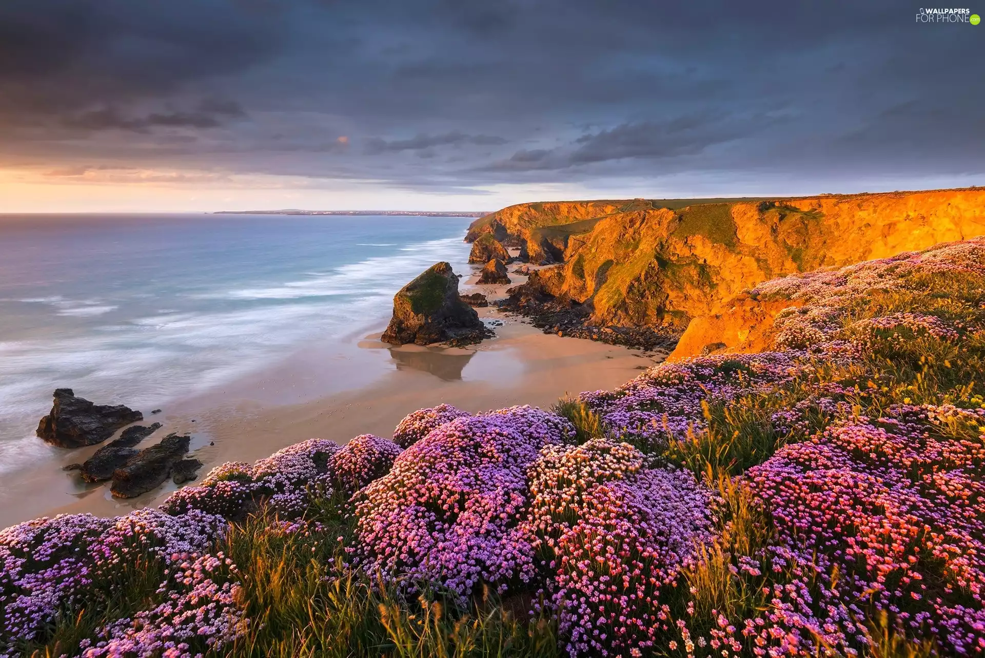 Flowers, clouds, rocks, cliff, sea