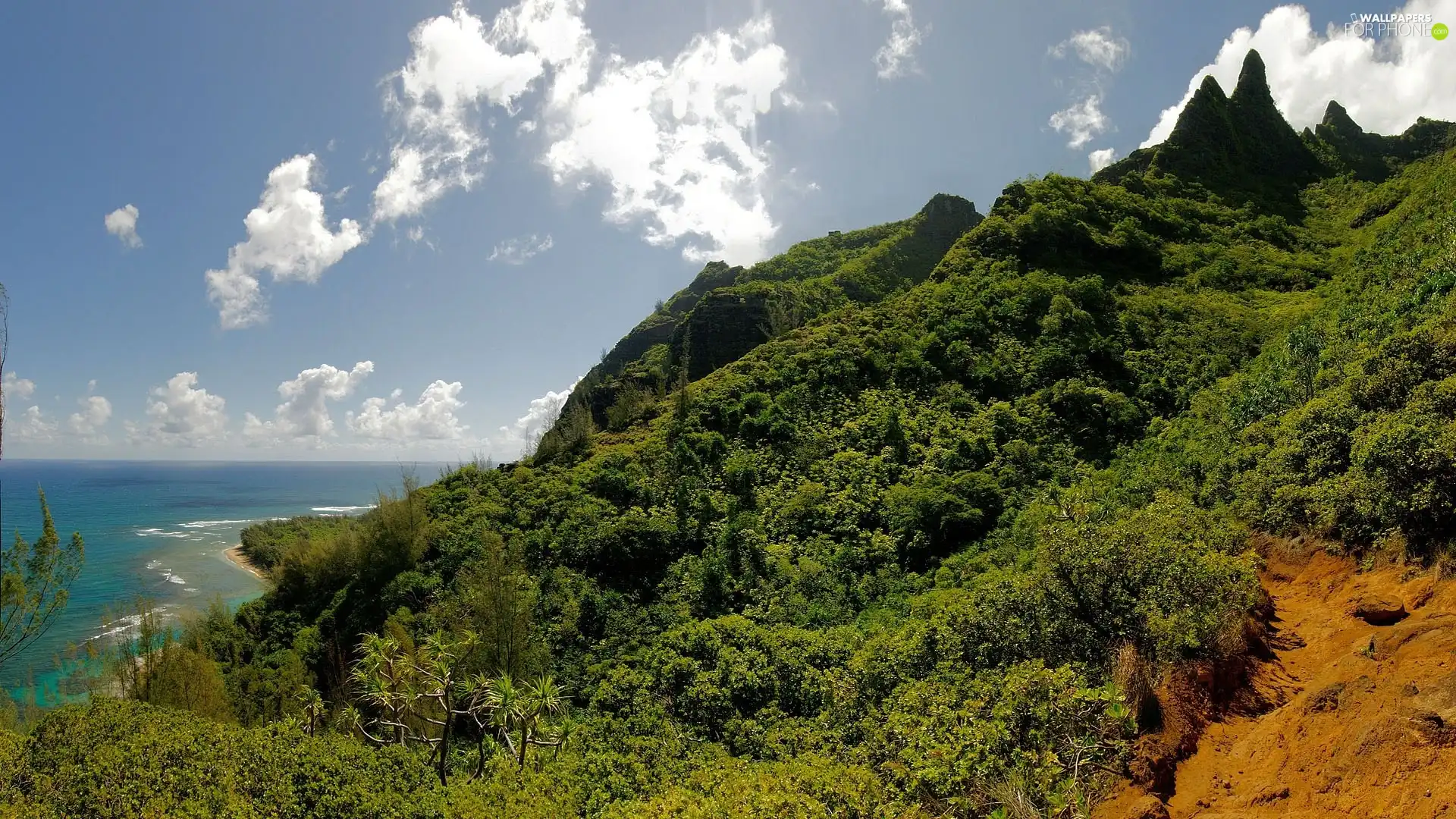 clouds, sea, trees, viewes, Mountains