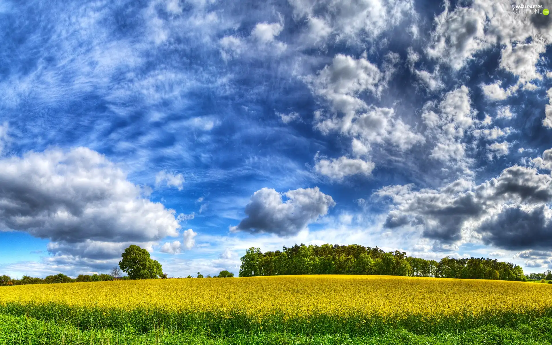 clouds, Field, Sky