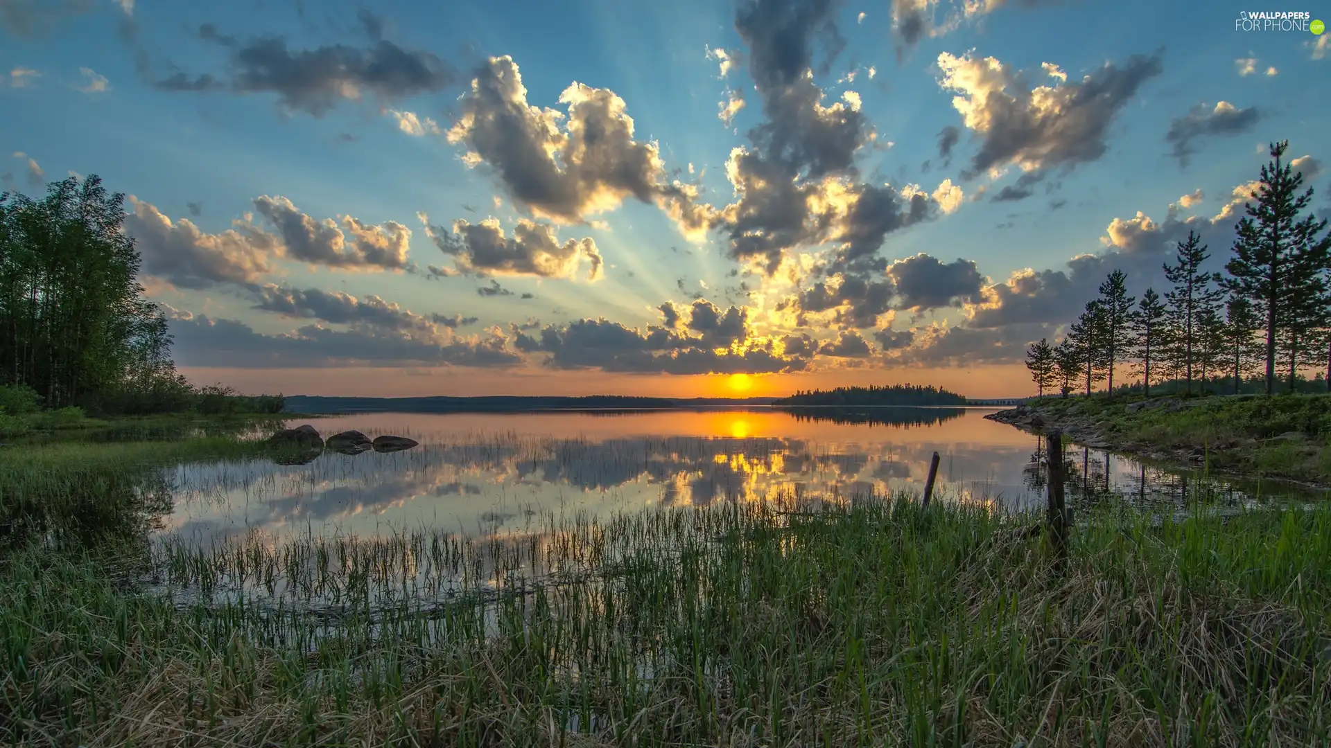 viewes, lake, Sky, trees, Great Sunsets, grass, clouds