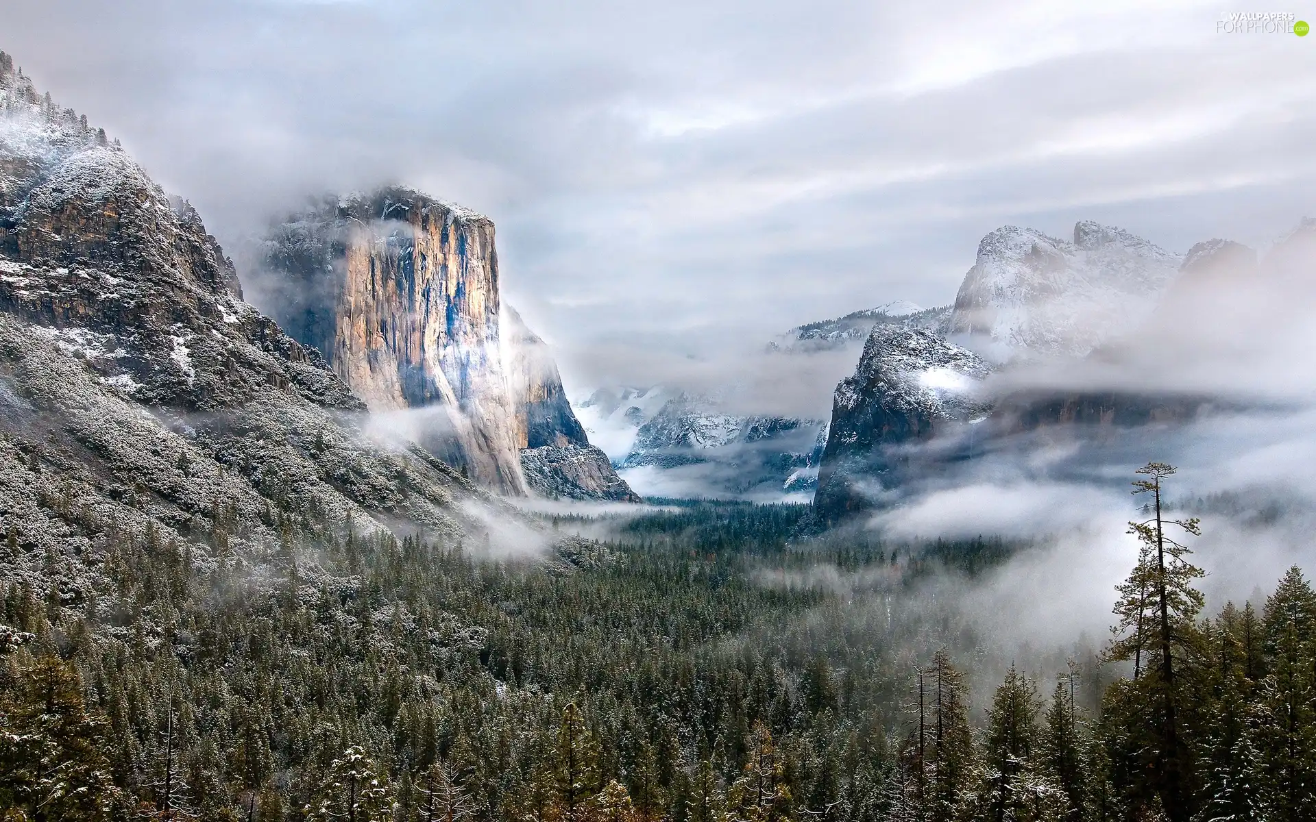 Snowy, woods, clouds, Mountains