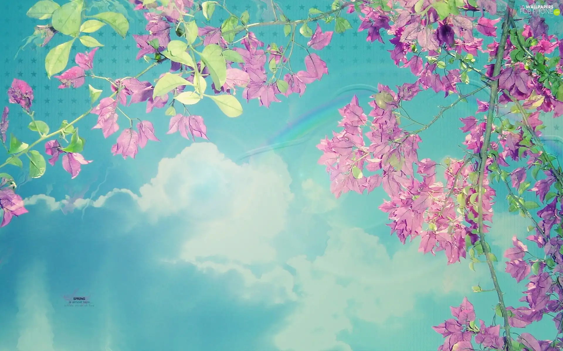 Twigs, Flowers, clouds, Pink