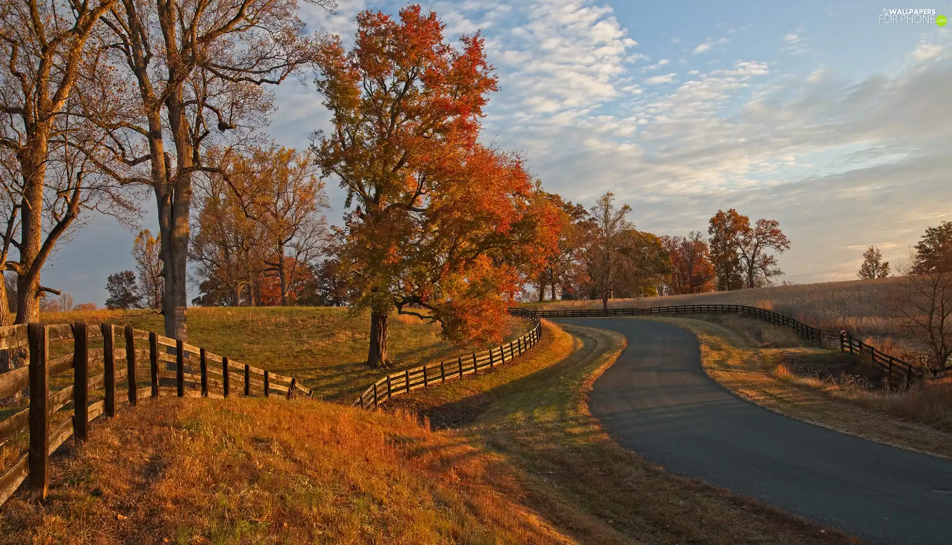 trees, autumn, fence, clouds, viewes, Way