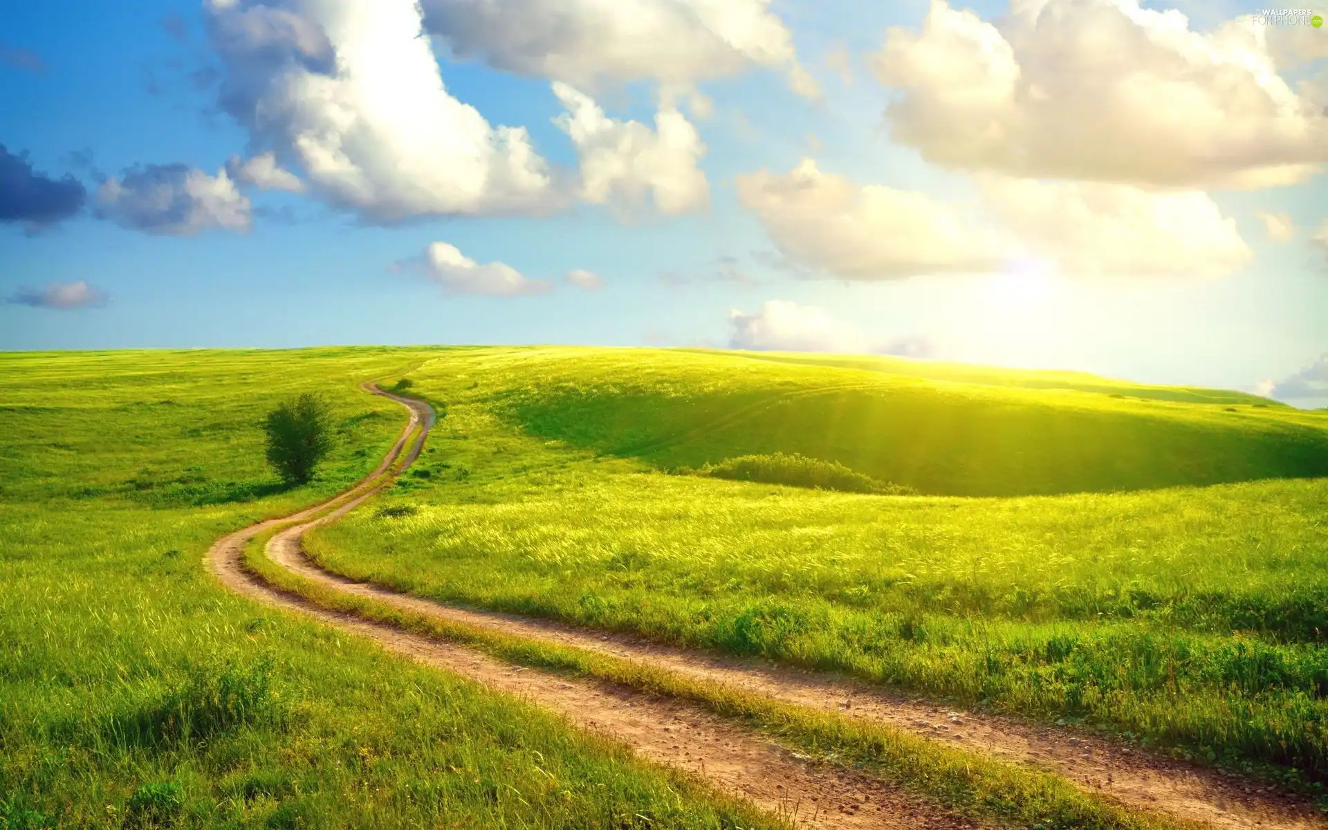 clouds, Field, Way