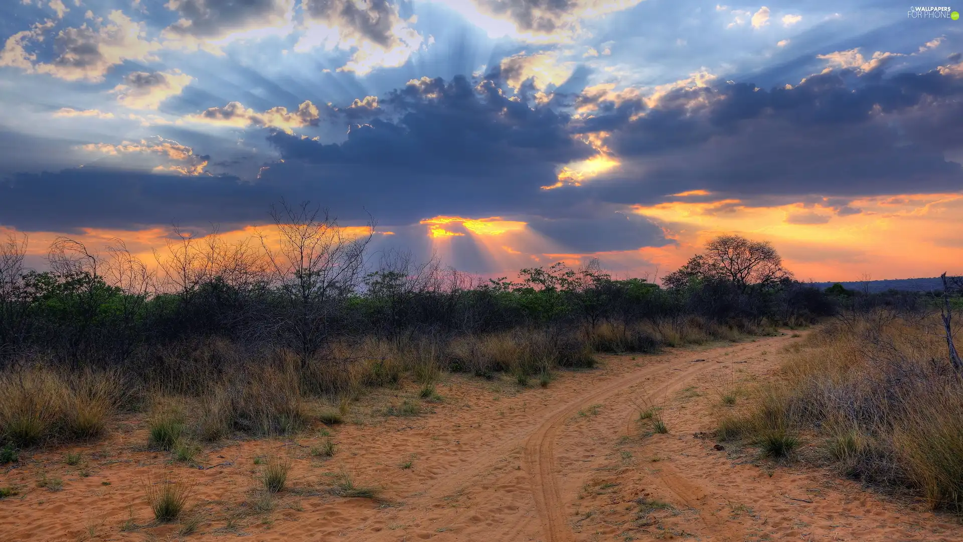 Way, sun, clouds, west