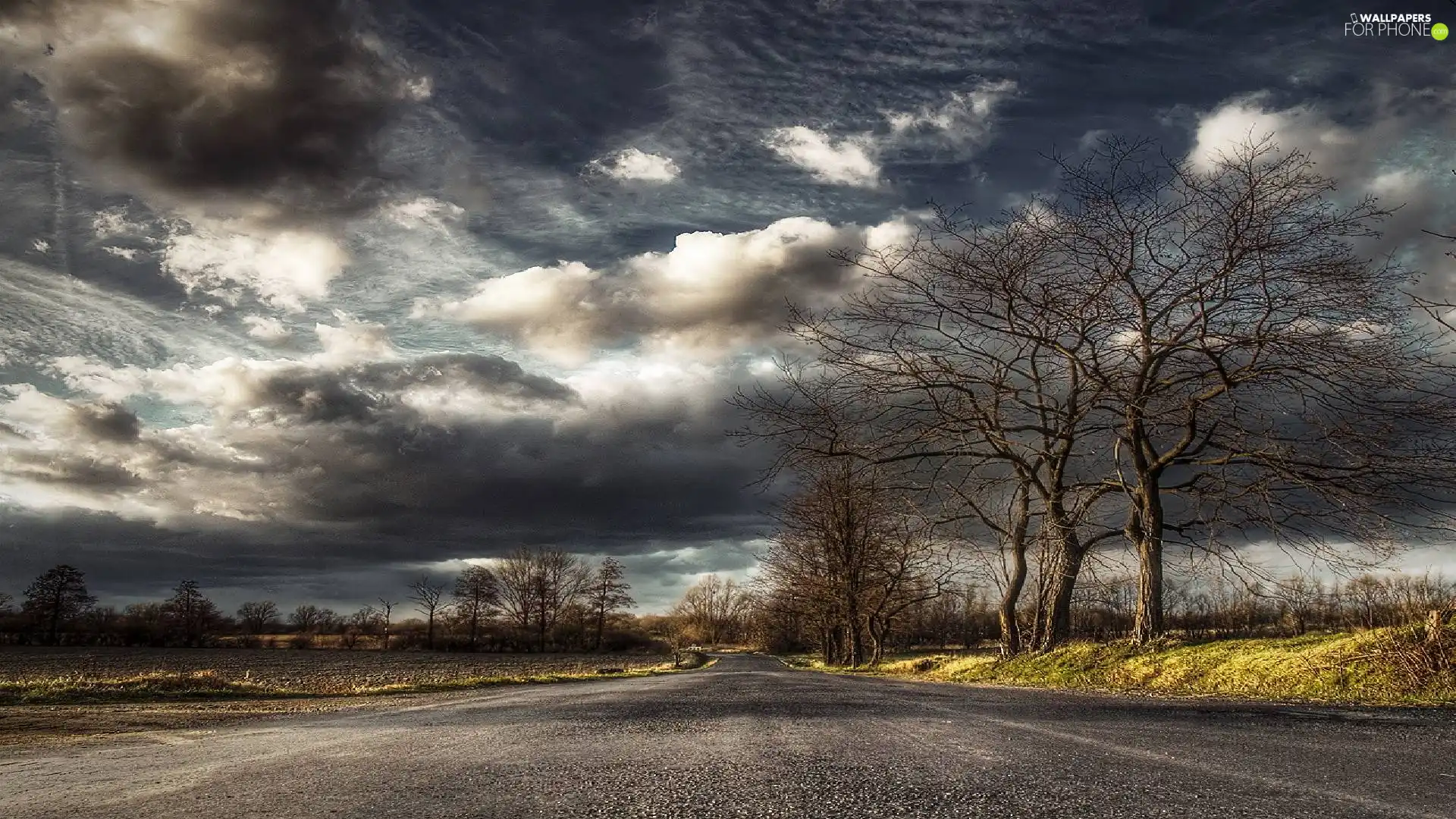 Way, viewes, clouds, trees