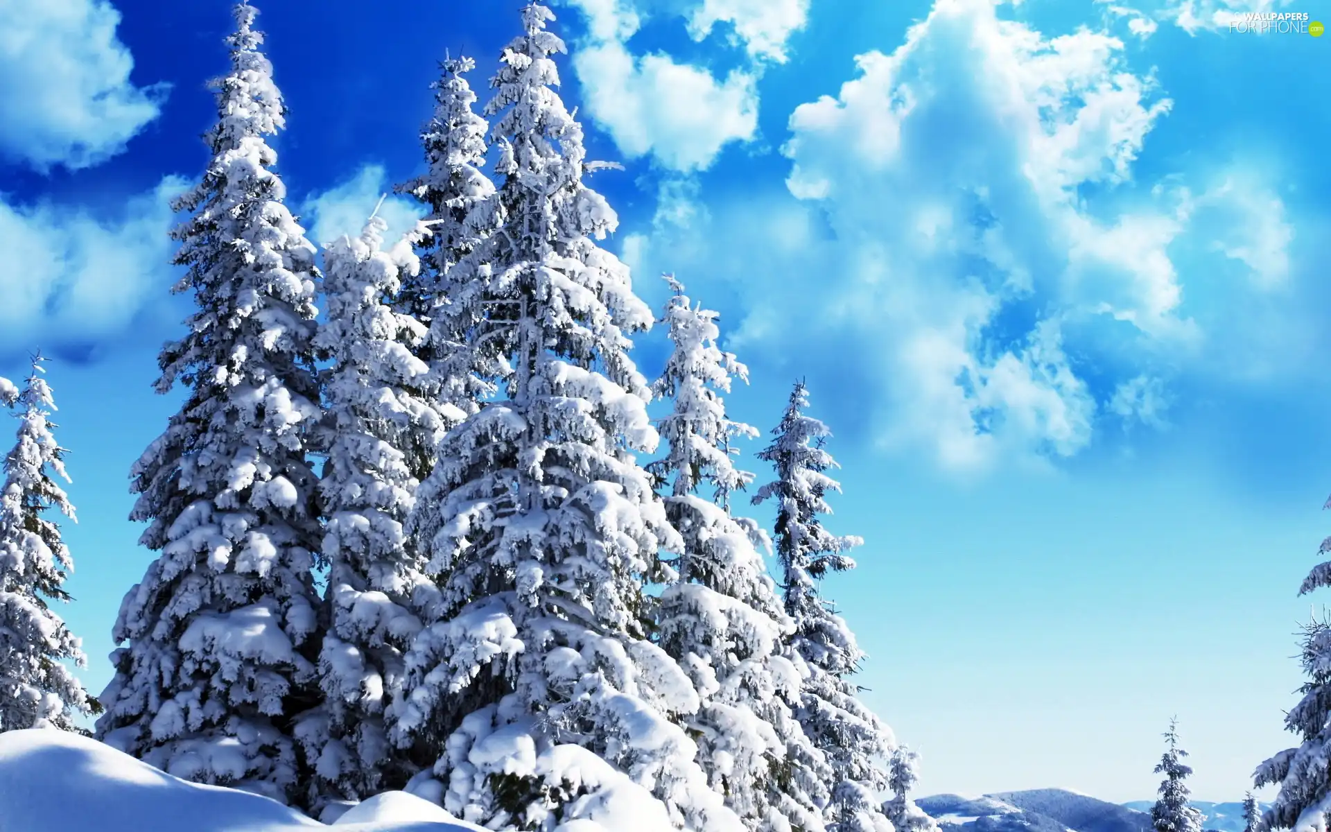 clouds, winter, trees, viewes, Snowy