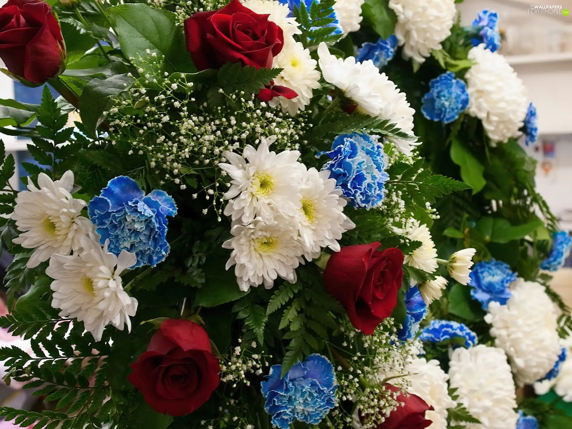 cloves, bouquet, roses