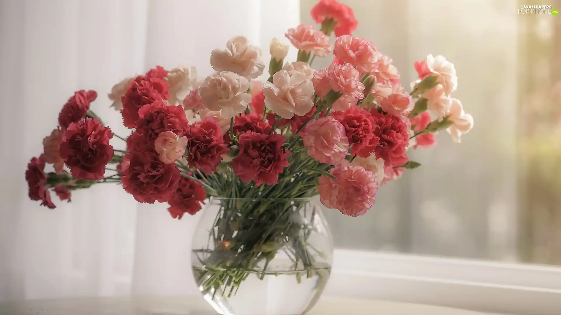 Cloves, Flowers, Vase